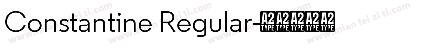 Constantine Regular字体转换